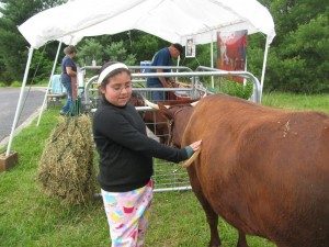 Girl petting cow