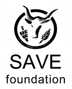 Save Foundation logo