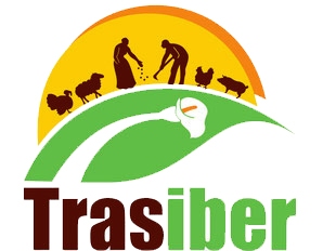 Trasiber logo
