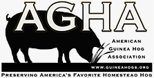 American Guinea Hog Association