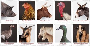 Heritage Breed Stamps