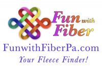 Fun with Fiber logo
