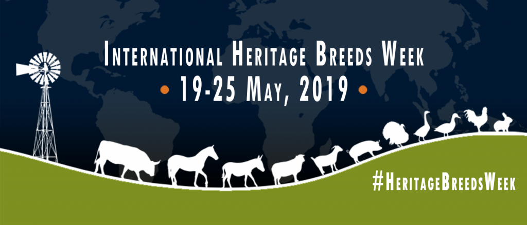 International Heritage Breeds Week 2019