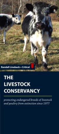 Livestock Conservancy general brochure cover with Randall Lineback cattle