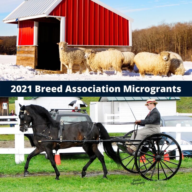 2021 Microgrants Awarded The Livestock Conservancy