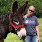 Charlene Couch holds a Poitou donkey