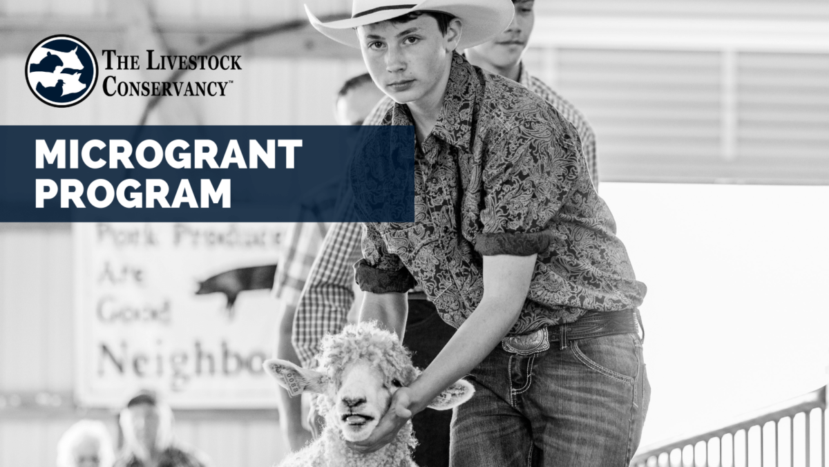 Projects The Livestock Conservancy