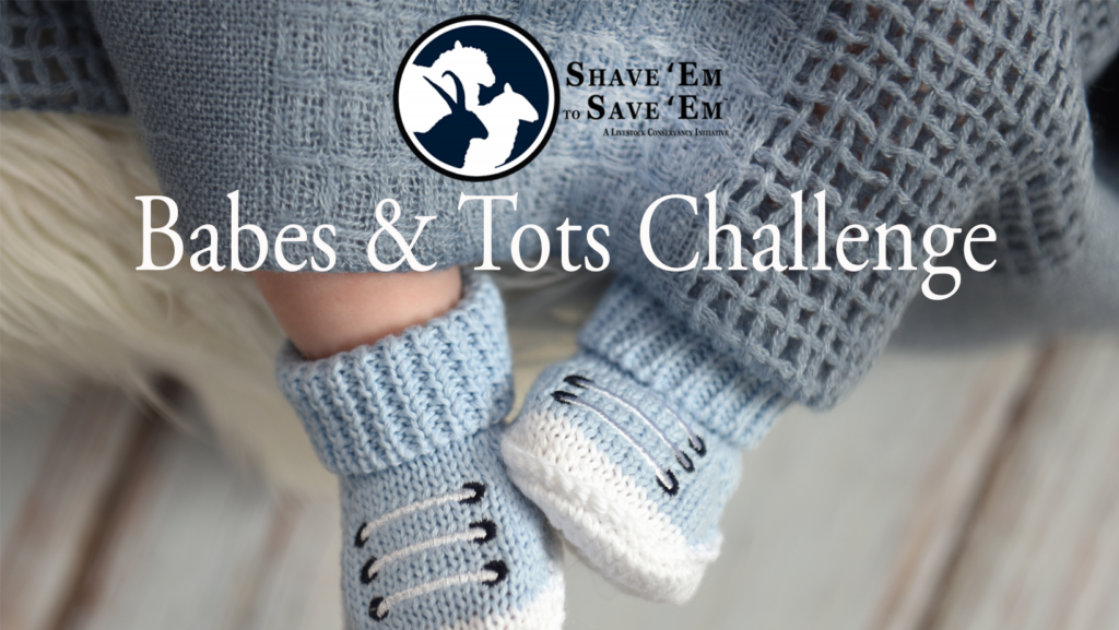 Babes and Tots Challenge