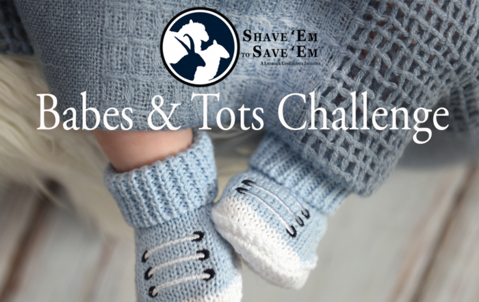Babes and Tots Challenge