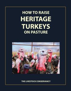 How to Raise Heritage Turkeys on Pasture book cover
