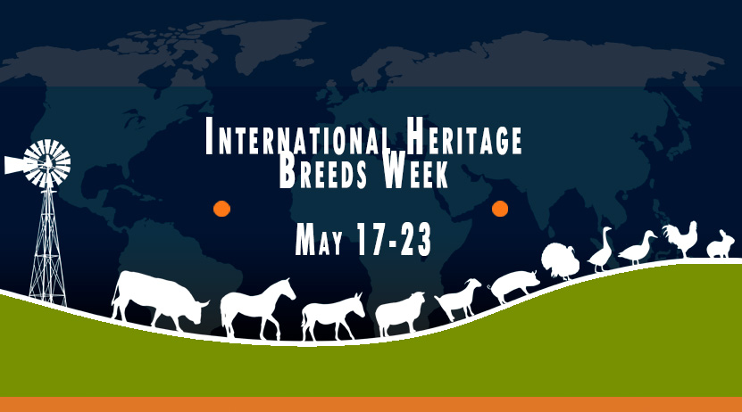 International Heritage Breeds Week, May 17-23