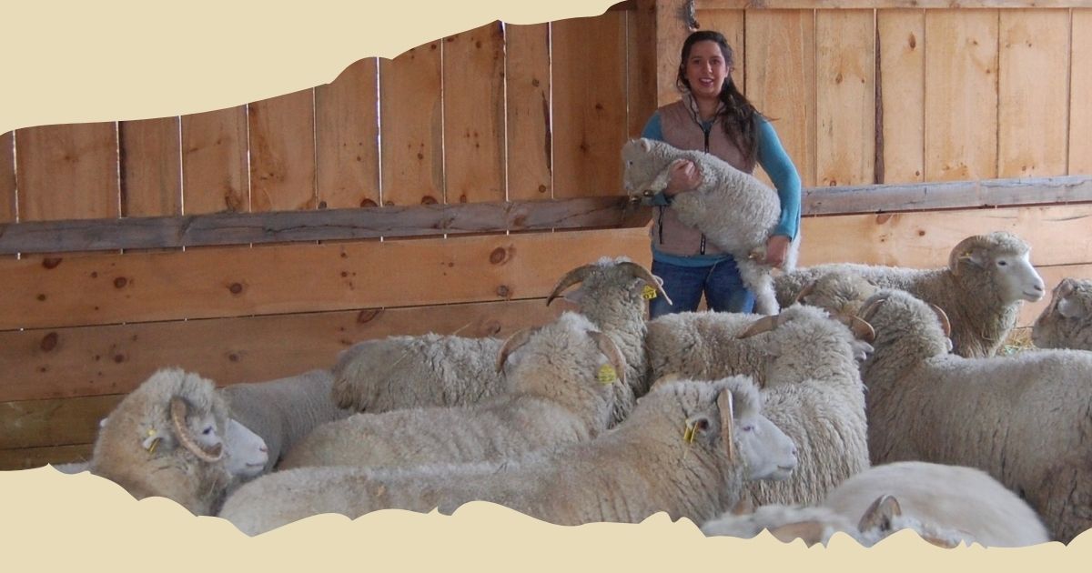Choosing the right heritage breed cover