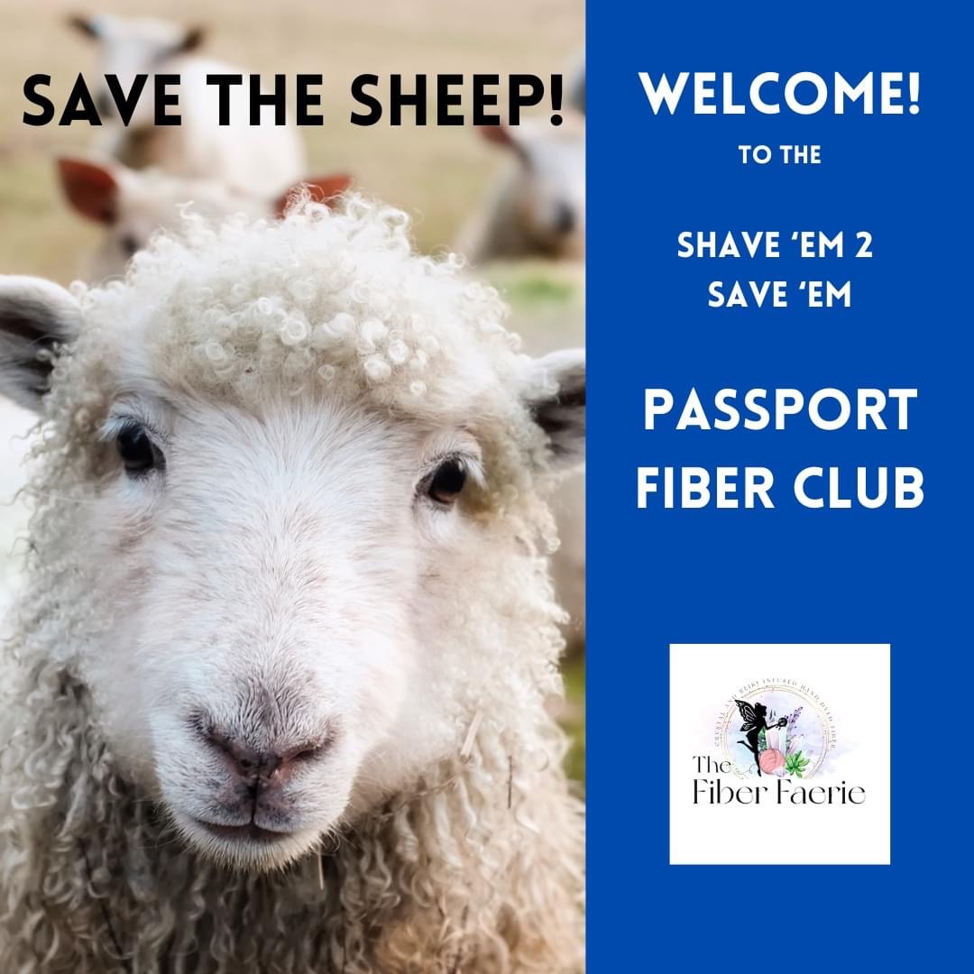 SE2SE Fiber Subscription Box