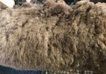 Prairie Flowers 2024 Shetland Fleece
