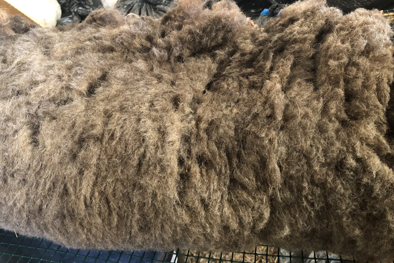 Prairie Flowers 2024 Shetland Fleece