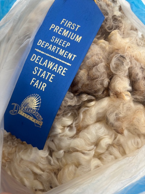 Raw Lincoln Longwool Wool