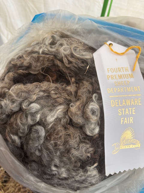 Raw Lincoln Longwool Wool
