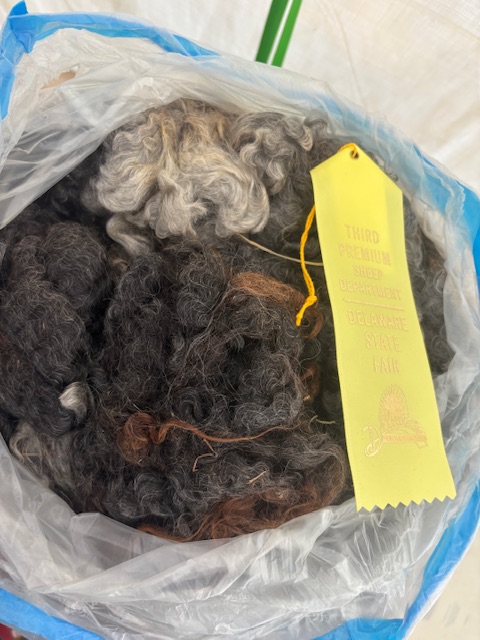 Raw Lincoln Longwool Wool