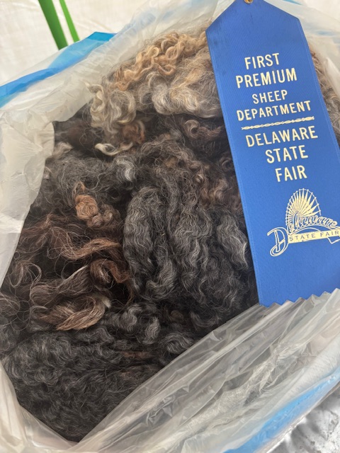 Raw Lincoln Longwool Wool